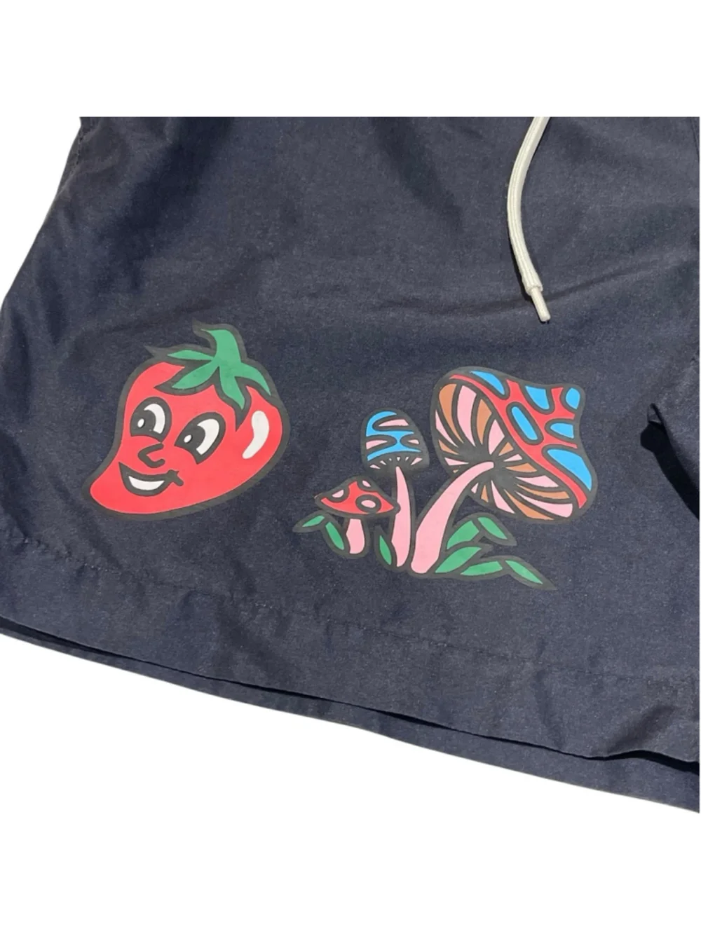 PacSun Boys Recycled Good Luck Swim Trunks Mushrooms, Pepper, Sunburst Sz M Pool